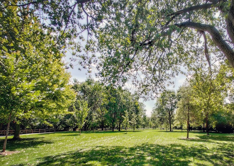 Horner (Henry)  Park